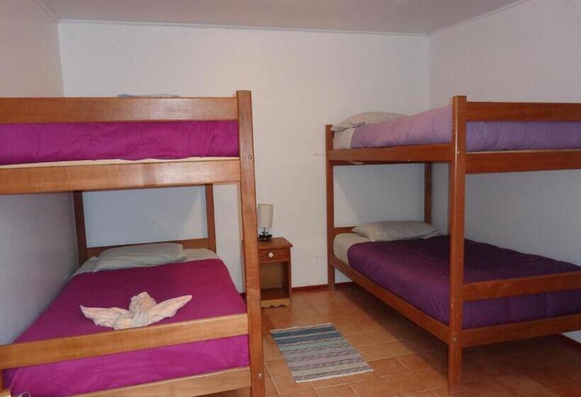 经济四人间 - 带共用浴室, Hostal Restaurant Chiloe