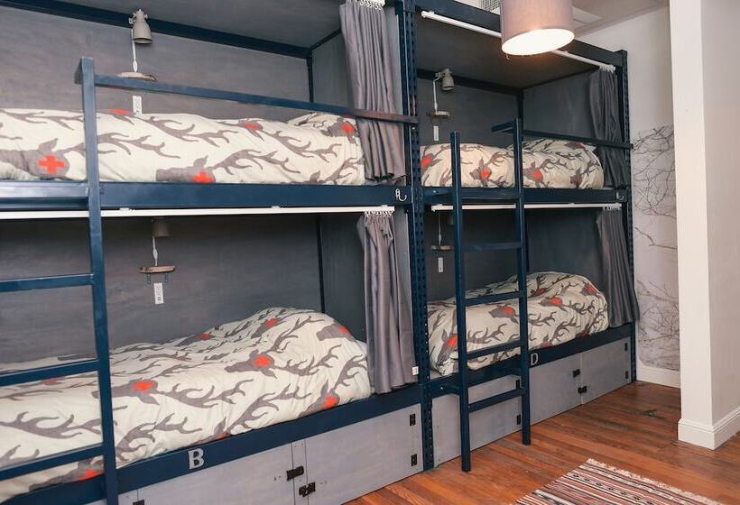 공동 객실, Hostel Fish