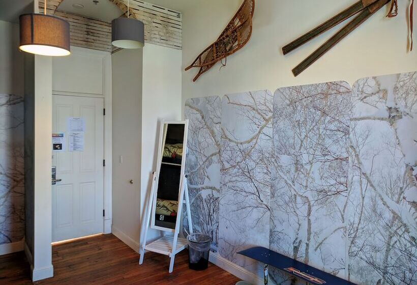 공동 객실, Hostel Fish