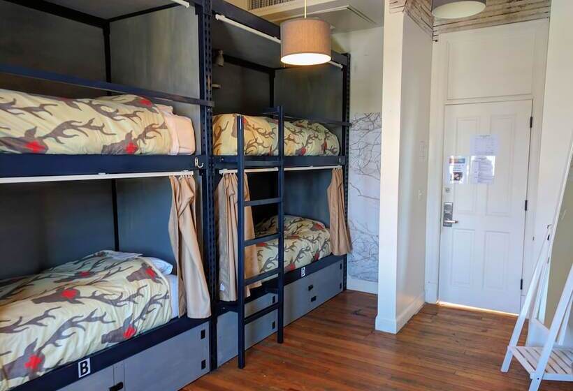 공동 객실, Hostel Fish