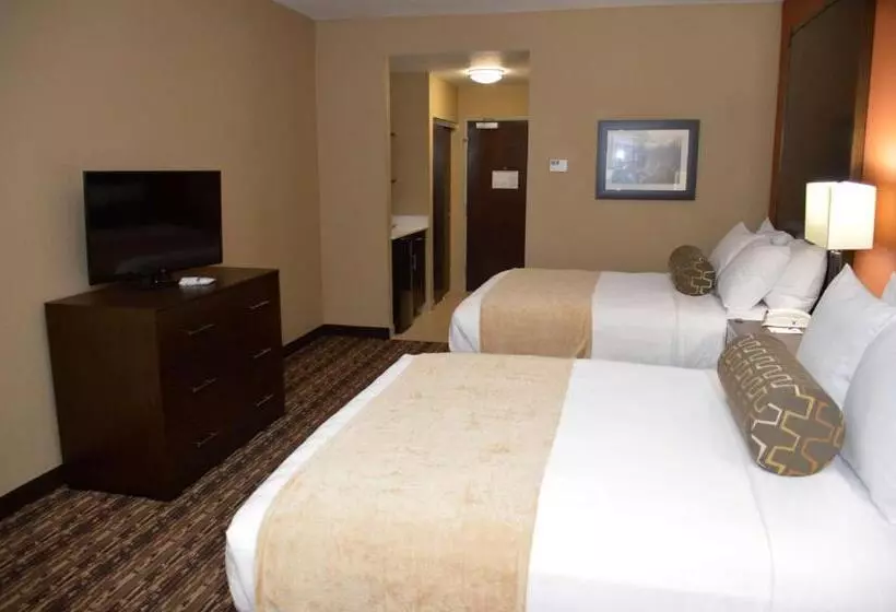 スタンダードルーム, Best Western Plus Elmendorf