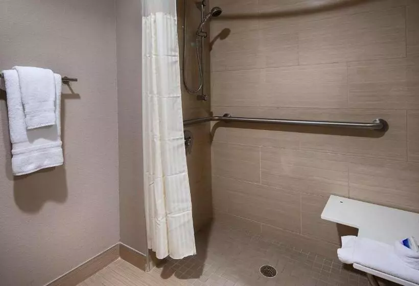 身障者適用キングサイズベッドルーム, Best Western Plus Elmendorf