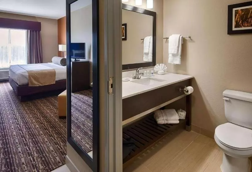 身障者適用キングサイズベッドルーム, Best Western Plus Elmendorf