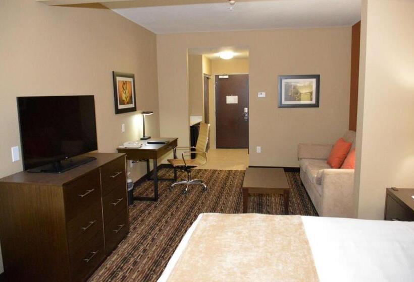 جناح لذوى الاحتياجات الخاصة, Best Western Plus Elmendorf