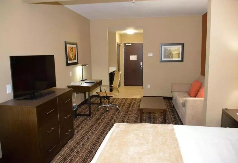 身障者適用スイートルーム, Best Western Plus Elmendorf