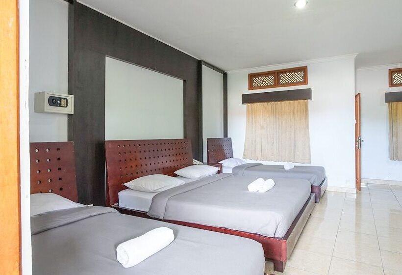 패밀리 룸, Gemini Star