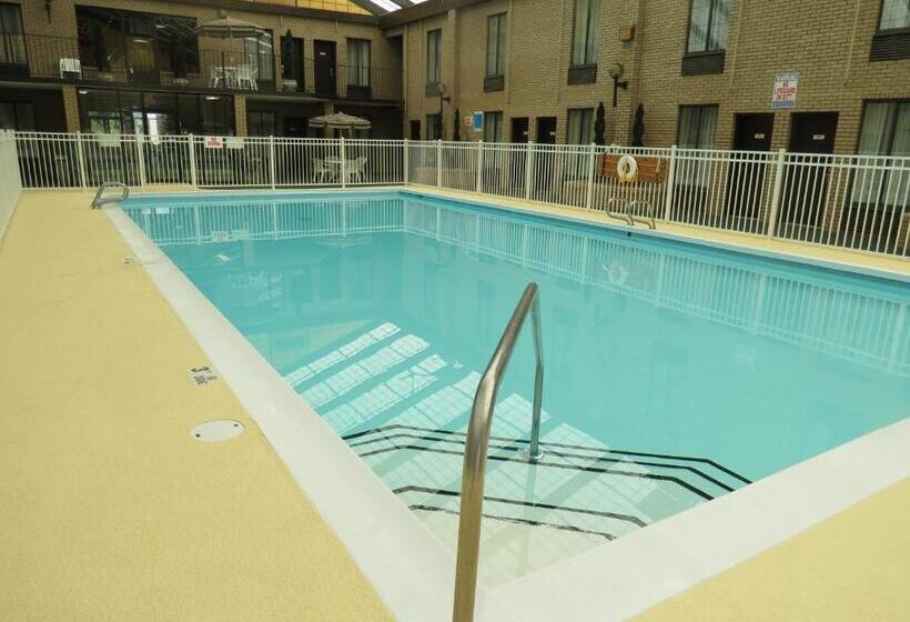 풀장 전망 싱글룸, Gold Vault Inn