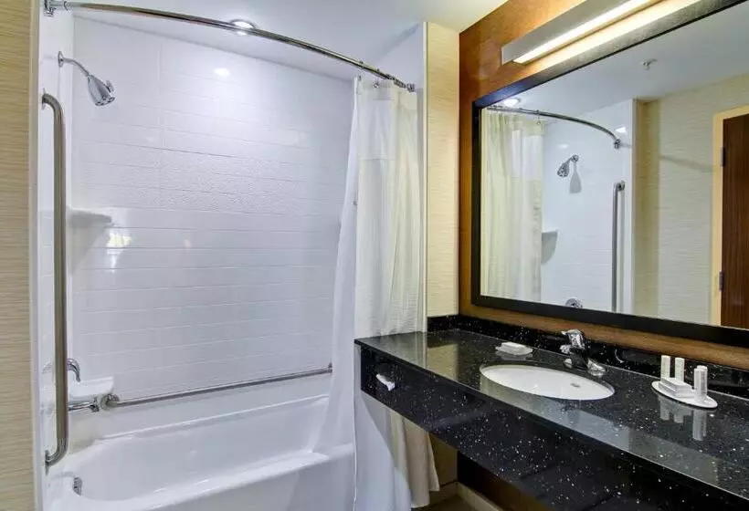 اتاق استاندارد با تخت بزرگ, Fairfield Inn & Suites By Marriott Kamloops