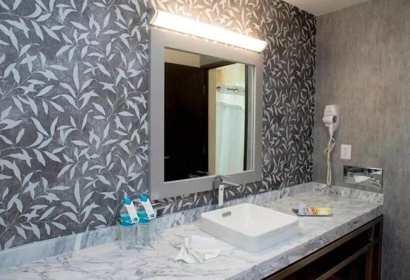 Standard-huone, Holiday Inn Express & Suites Queretaro, An Ihg