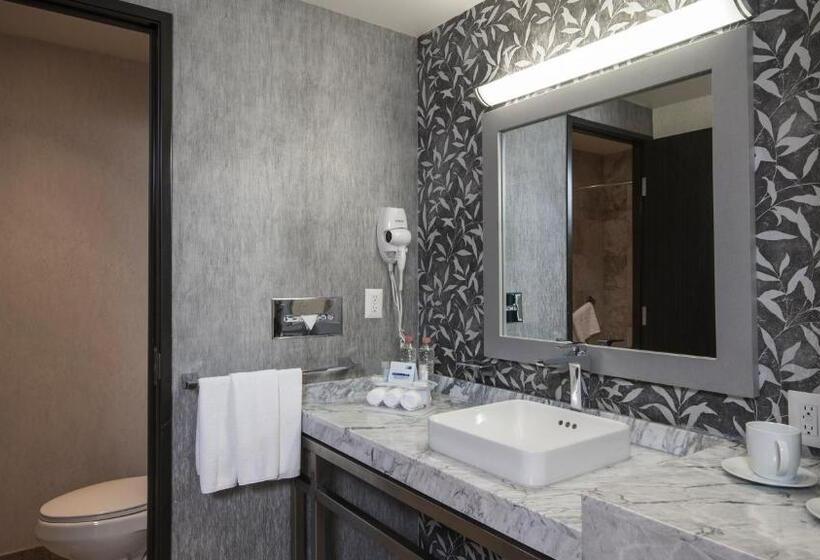 Номер Стандарт Вид на Сад, Holiday Inn Express & Suites Queretaro, An Ihg