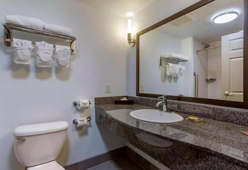 اتاق استاندارد, Best Western Plus Gallup Inn & Suites