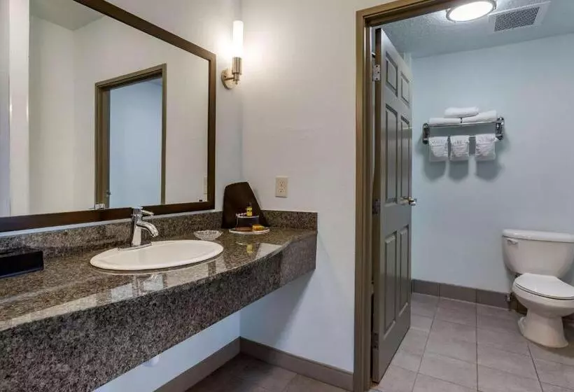 سوئیت با تخت بزرگ, Best Western Plus Gallup Inn & Suites