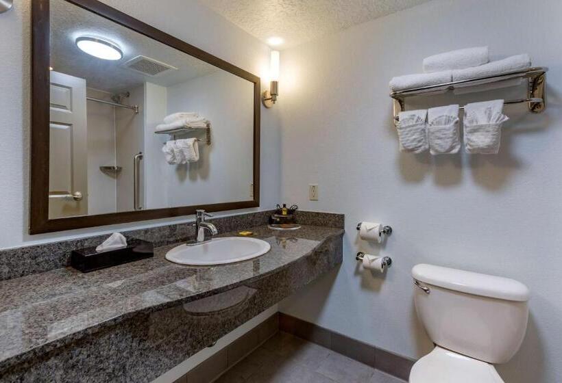 غرفة قياسية سرير كينج, Best Western Plus Gallup Inn & Suites