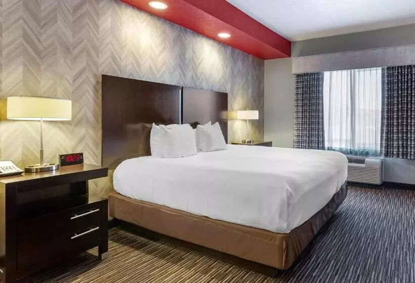 اتاق استاندارد با تخت بزرگ, Best Western Plus Gallup Inn & Suites