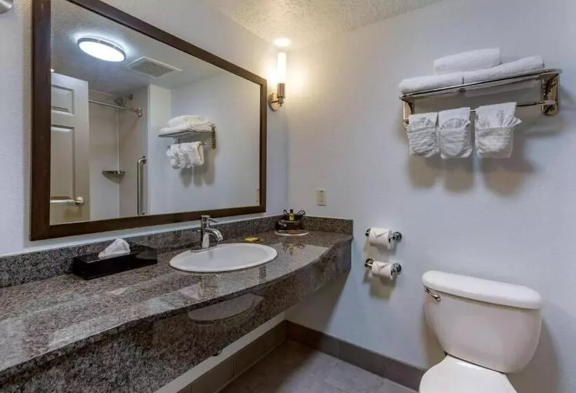 اتاق استاندارد برای معلولان, Best Western Plus Gallup Inn & Suites