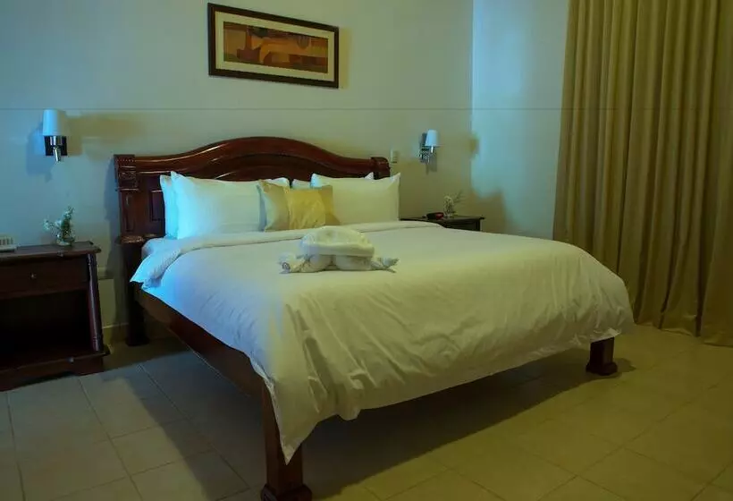 Standard Room Double Bed City View, Real La Merced