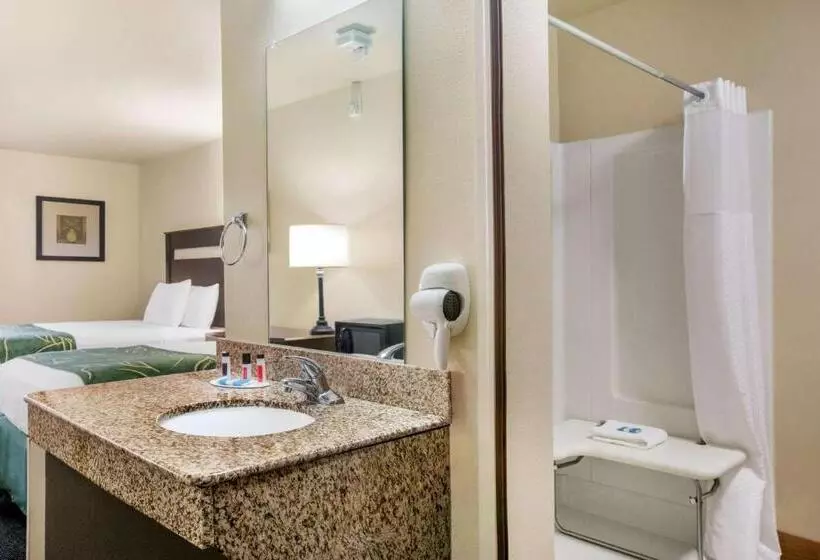 身障者適用キングサイズベッドルーム, Travelodge By Wyndham Livonia