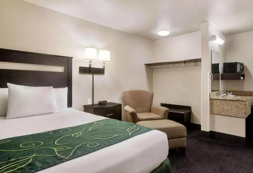 身障者適用キングサイズベッドルーム, Travelodge By Wyndham Livonia