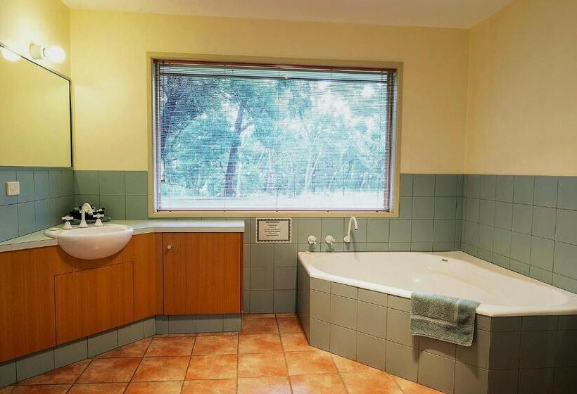 带特大床的高级间, Pinnacle Holiday Lodge