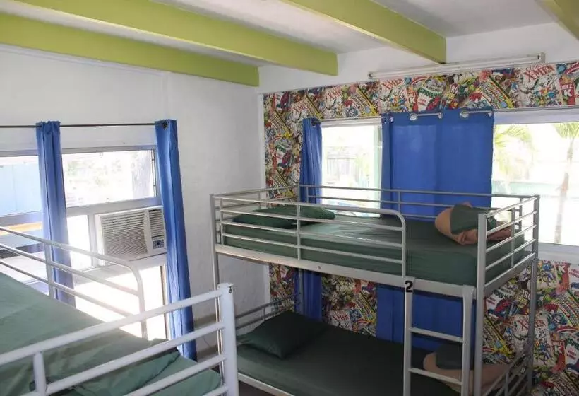 تختخواب در اتاق مشترک, Pippies Beachhouse Backpackers