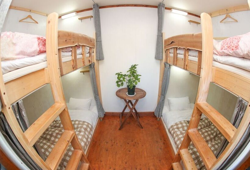 Letto in Camera Condivisa, Sappolodge