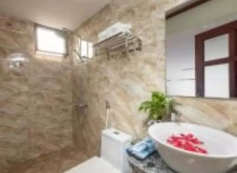 اتاق سوپریور, Viet Village Hotel & Travel