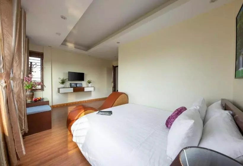 اتاق سوپریور, Viet Village Hotel & Travel