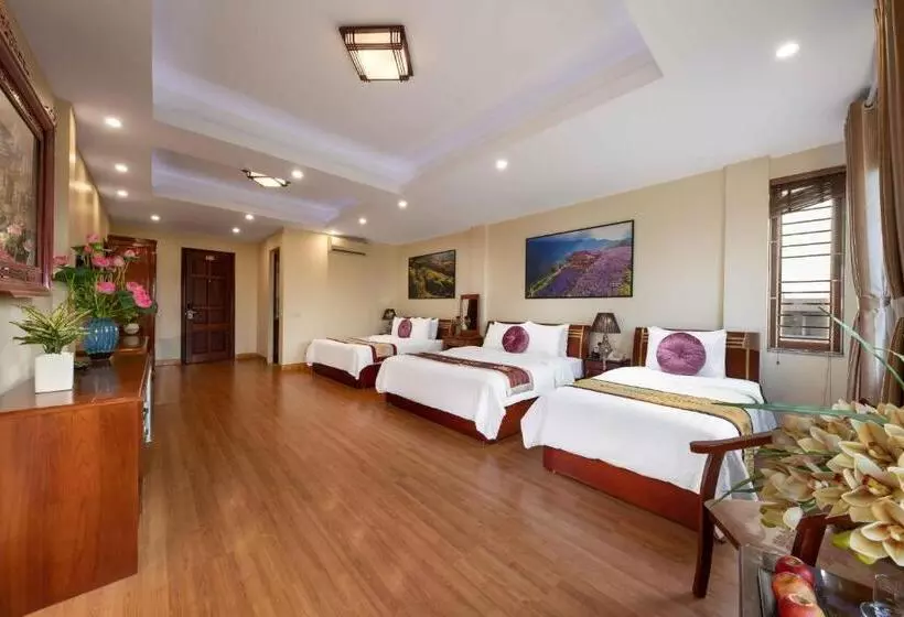 اتاق لوکس خانوادگی, Viet Village Hotel & Travel