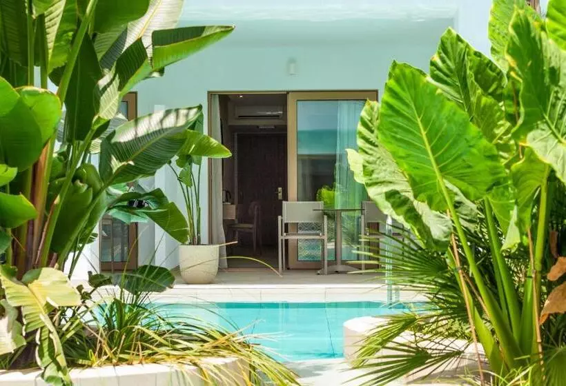 اتاق لوکس, Blue Sea Island