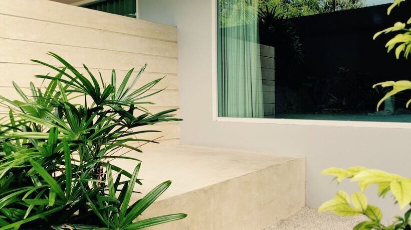 חדר סטנדרט, City Dance