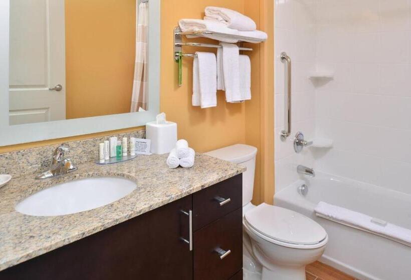 إستوديو قياسى سرير كينج, Towneplace Suites By Marriott Detroit Commerce