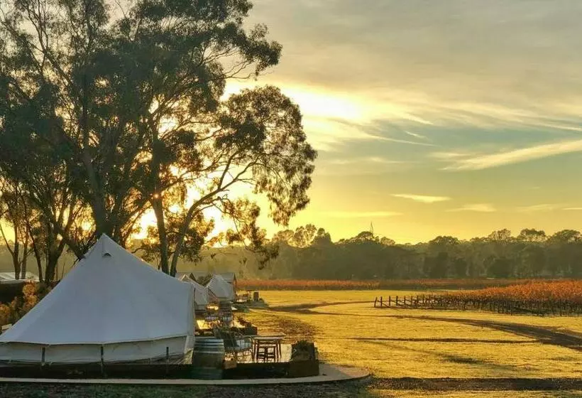 Standard Tent, Balgownie Estate Bendigo