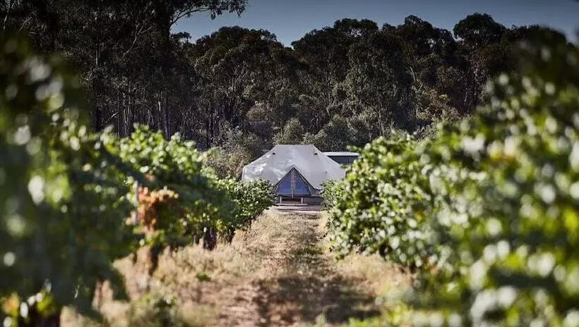 Deluxe Tent, Balgownie Estate Bendigo