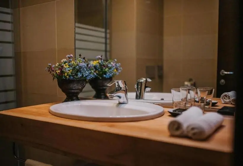 スパアクセス付スタンダードルーム, Balvanyos Resort Peakture Hotel & Grand Hotel Balvanyos