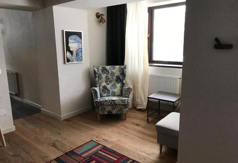 Апартаменты 1 Спальня, Balvanyos Resort   Peakture Hotel & Grand Hotel Balvanyos