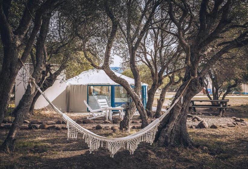 디럭스 룸, Wakana