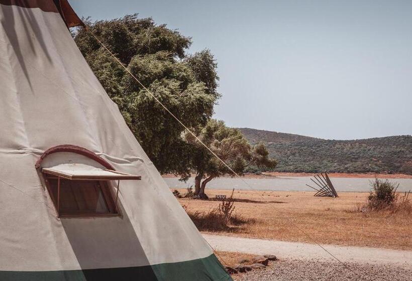 패밀리 룸, Wakana