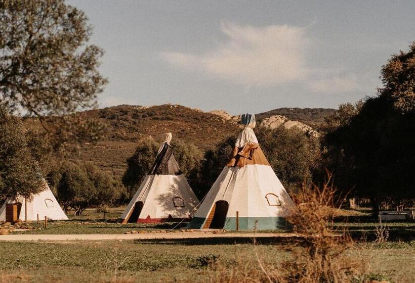 스탠다드 룸, Wakana