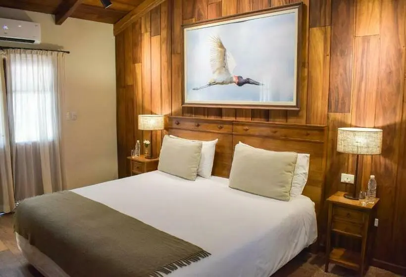 Deluxe-huone, El Transito Hotel Boutique