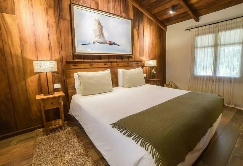 Deluxe-huone, El Transito Hotel Boutique