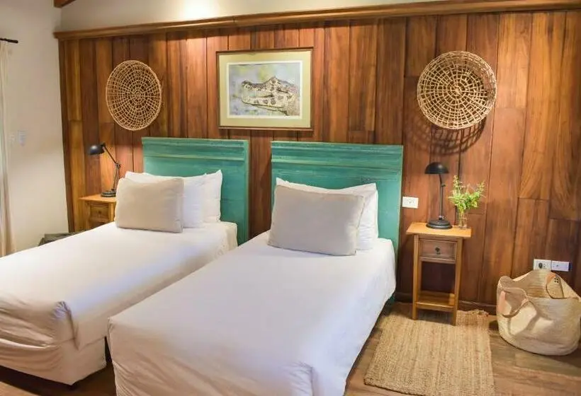 Juniorsviitti, El Transito Hotel Boutique