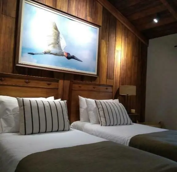Juniorsviitti, El Transito Hotel Boutique