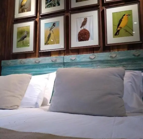 Sviitti, El Transito Hotel Boutique