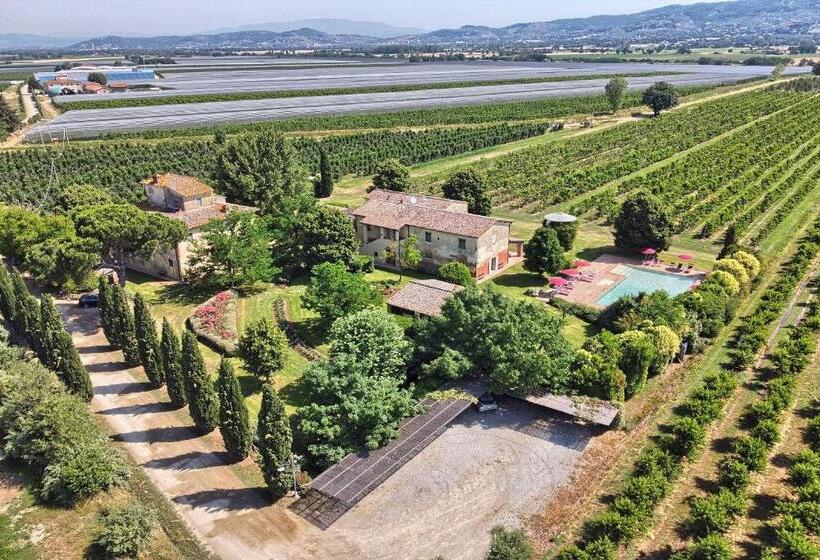 Апартаменты 1 Спальня Нижний Этаж, Foresteria Il Giardino Di Fontarronco