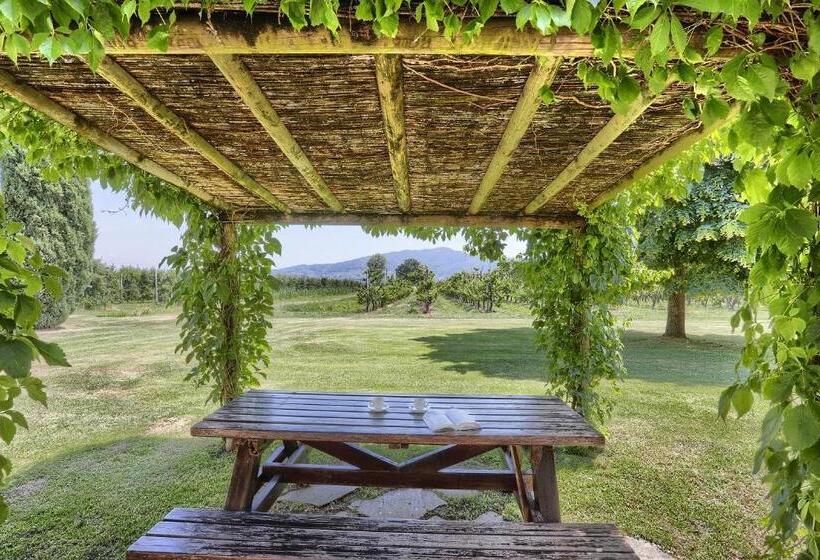 Апартаменты 1 Спальня Нижний Этаж, Foresteria Il Giardino Di Fontarronco