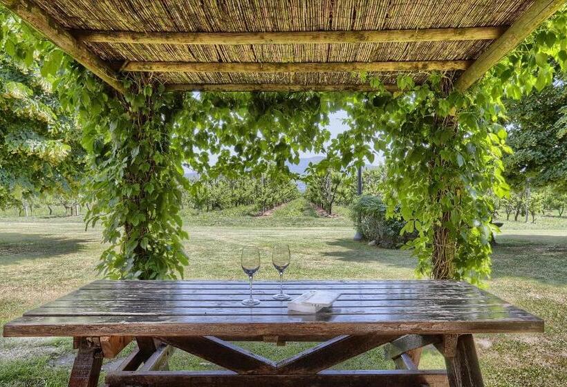 Апартаменты 1 Спальня, Foresteria Il Giardino Di Fontarronco