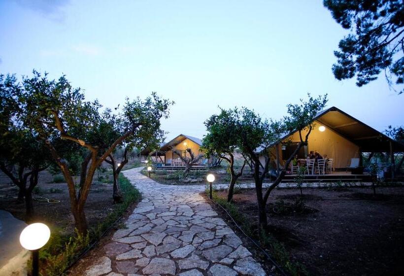 Standard Tent, Duca Di Castelmonte