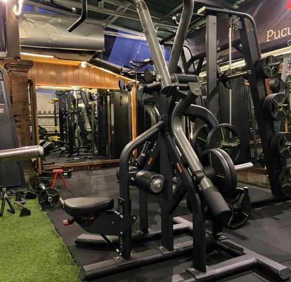 标准间, Pucuk Bali Guest House Canggu