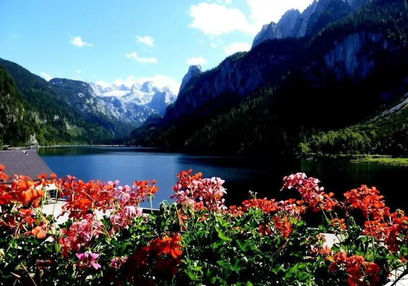 スーペリアシングルルーム, Gasthof Gosausee