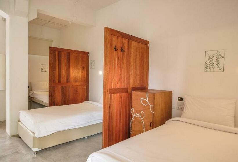 ルームシェアのワンベッド, The Dearly Koh Tao Hostel Padi 5 Star Dive Resort